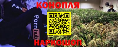 ГАЛЛЮЦИНОГЕННЫЕ ГРИБЫ Бугуруслан
