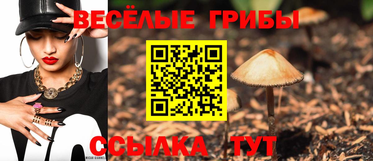 Псилоцибиновые грибы мицелий  Вход с VPN  Ревда 
