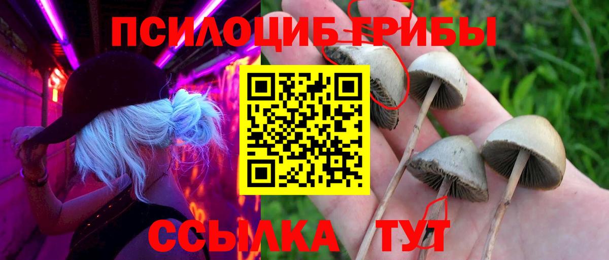 Псилоцибиновые грибы ЛСД Ревда